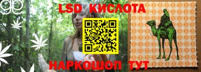 СК Конаково