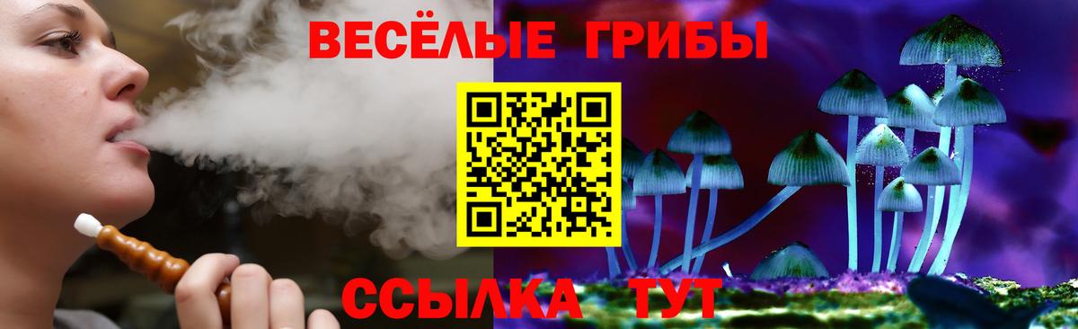 Псилоцибиновые грибы Psilocybine cubensis  Вход с VPN  Красный Сулин  наркота  Галлюциногенные грибы Psilocybine cubensis 